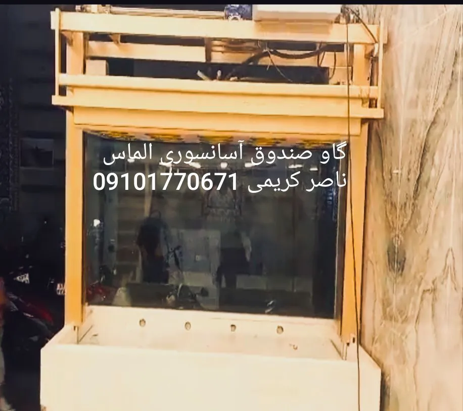 گاو صندوق اسانسوری