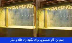 بهترین گاو صندوق برای طلا و دلار
