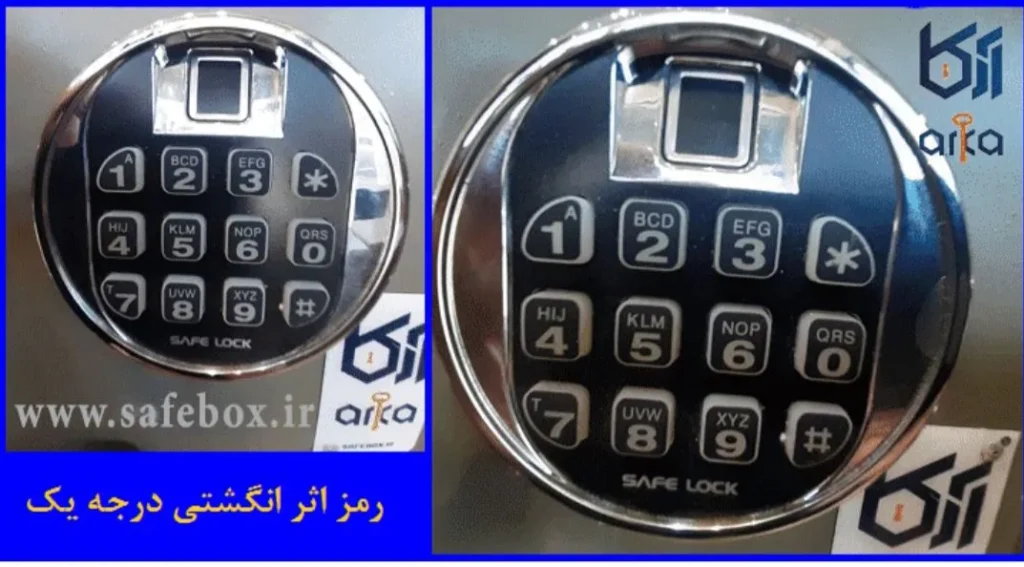 خرید گاو صندوق در مشهد